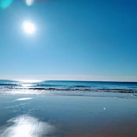 Sweet Estrela Do Vau 232