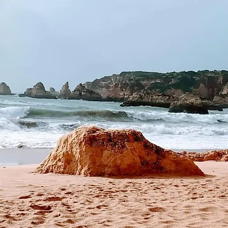 Sweet Estrela Do Vau 232